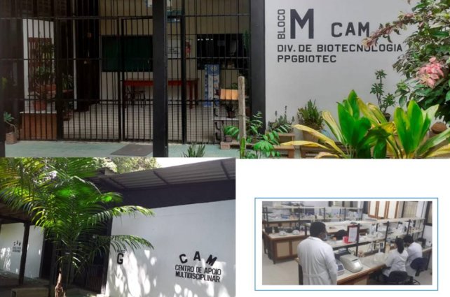 Divisão de Biotecnologia