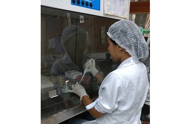 Laboratório de Bioensaios e Microrganismos da Amazônia - LABMICRA